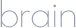 brain